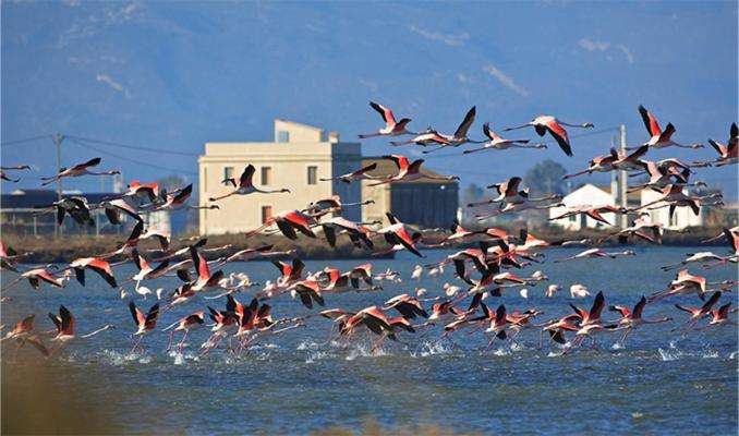 Lo Trabucador Casa Nueva En El Corazon Del Delta Ferienhaus