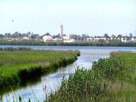 Lo Trabucador Casa Nueva En El Corazon Del Delta El Poble Nou del Delta