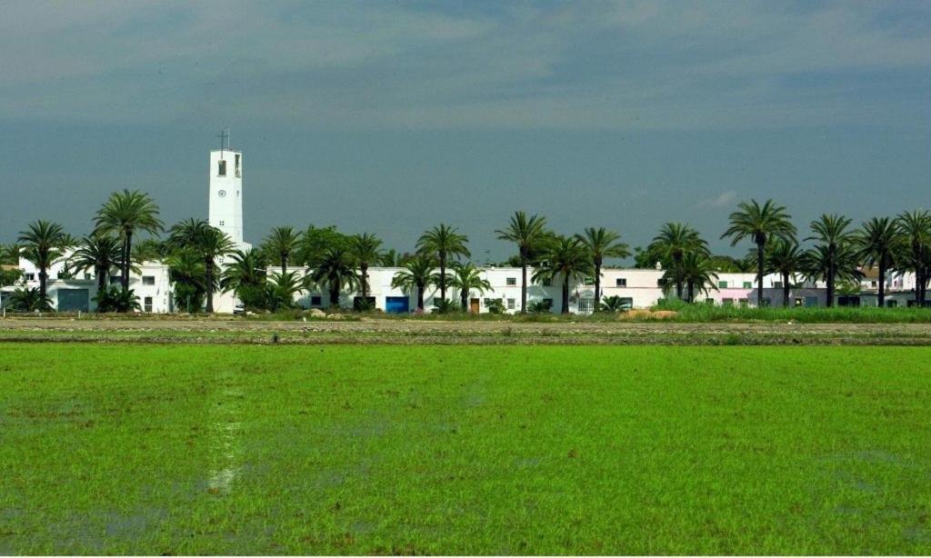 Lo Trabucador Casa Nueva En El Corazón Del Delta Casa de Férias *